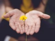 selective focus photography of woman holding yellow petaled flowers